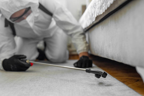 Professional Termite Control technician working in Williamsburg, OH