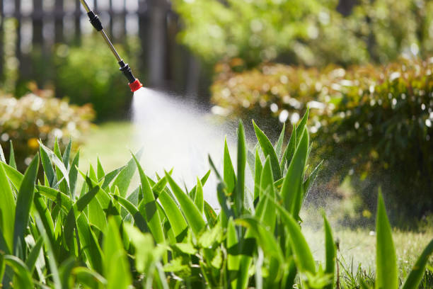 24/7 Emergency Termite Control experts in Williamsburg, OH