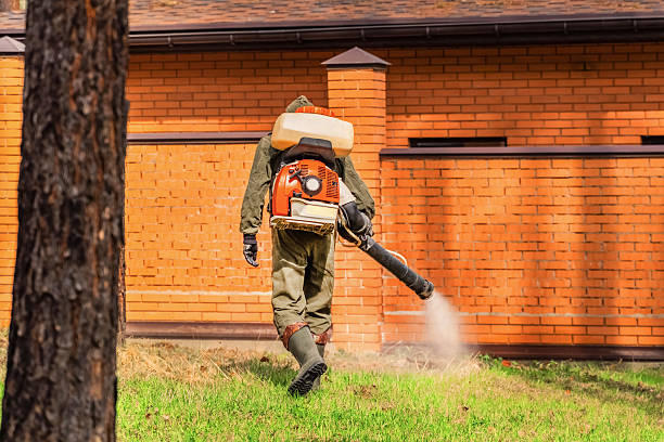 Trusted Cockroach Control service in Williamsburg, OH - Nex Pest Control